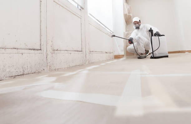 24/7 Emergency Attic Mold Removal experts in Quincy, WA
